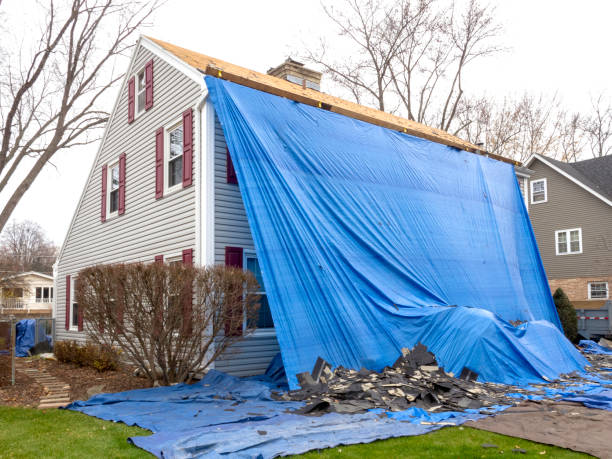 Best Wood Siding Installation  in Clayton, AL